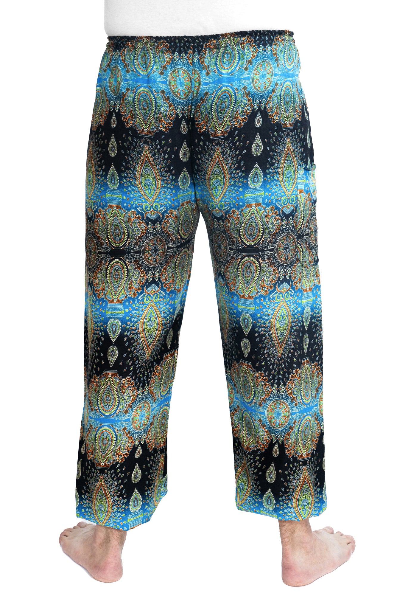 Paisley Pants in Blue